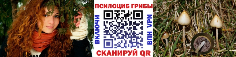 Галлюциногенные грибы Magic Shrooms  Купить где  Сковородино 