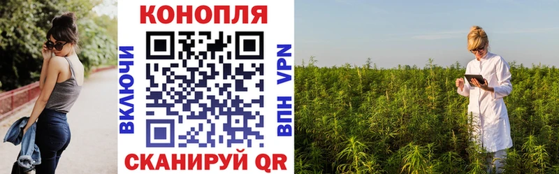 Купить закладки  Сковородино  Марихуана MAZAR 